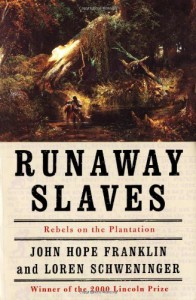 runaway slaves cover